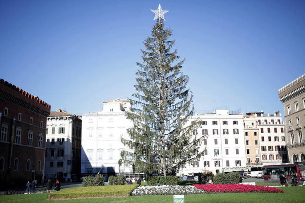Albero Di Natale Vero Come Farlo Sopravvivere.Una Scelta Sbagliata Spelacchio Morto Di Malasanita La Lezione Di Roma