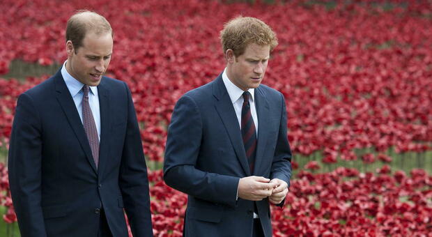 Harry e William, pace dopo la tensione? Saranno insieme davanti alla statua di Lady Diana: «Ma solo questo non basterà»
