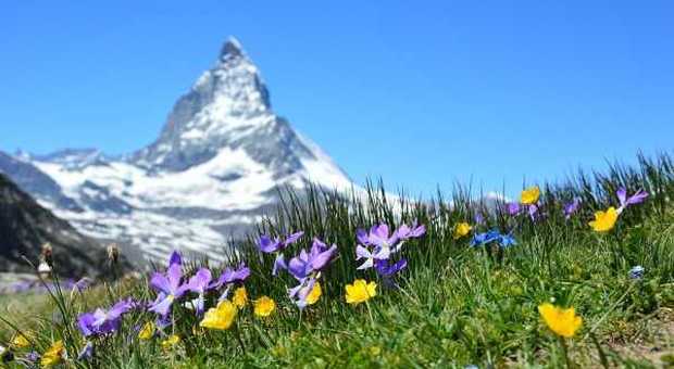 Svizzera, tour estivi a bordo di treni panoramici e passeggiate rilassanti