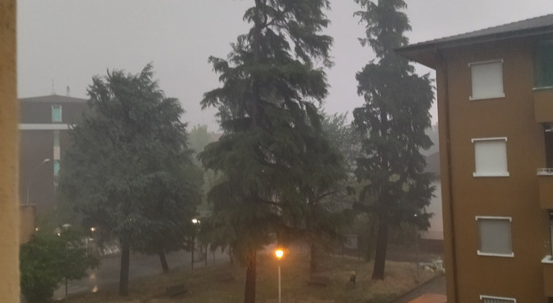 Temporale a Milano, allagamenti e alberi caduti per il forte vento: allerta fino a domani