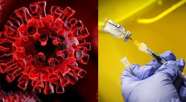 Omicron, lo studio cinese: «Ecco come la variante elude le terapie antivirali e i vaccini»