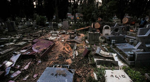 Grosso pino caduto sulle tombe del cimitero del Verano