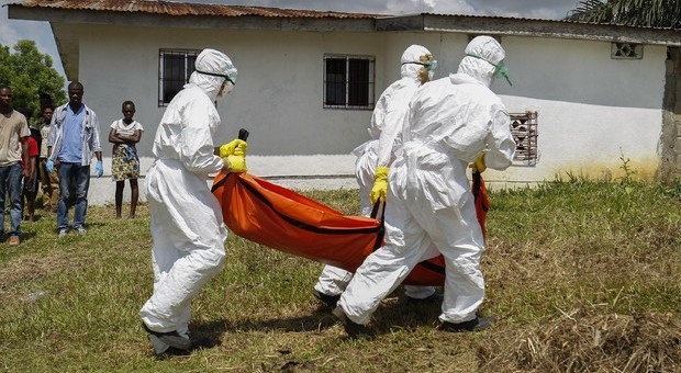 Ebola, torna l'incubo epidemia: 17 morti nella Repubblica del Congo. «Emergenza di portata internazionale»