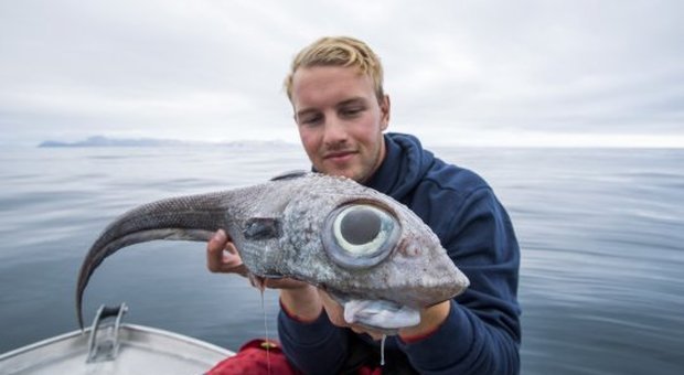 Norvegese cattura un "pesce alieno": «Mai visto niente del genere». Ecco cos'era