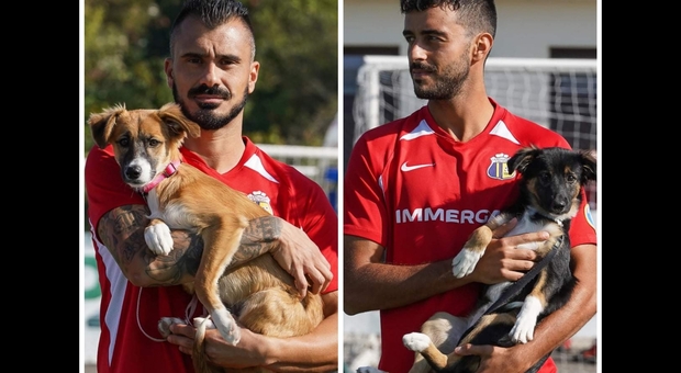 I due cuccioli randagi in braccio ai giocatori del campionato di serie D. (Immag diffuse da Lentigione Calcio su Fb)