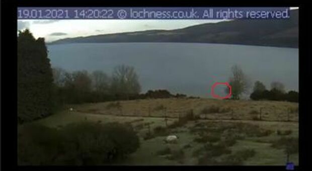 Scozia, nuovi avvistamenti del mostro nel lago di Loch Ness