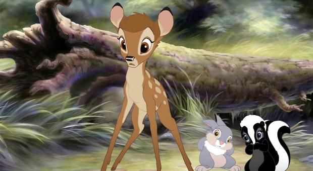 Uccide cervi illegalmente, bracconiere condannato a guardare Bambi una volta al mese