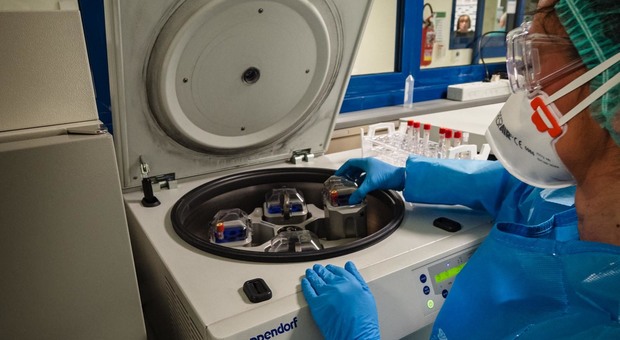 Laboratorio di analisi per i tamponi (foto Marco Giugliarelli)