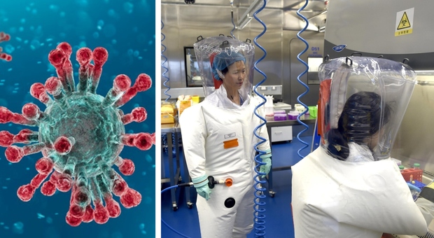 Covid, nuovo studio: «Abbiamo le prove, il coronavirus è stato creato in laboratorio»