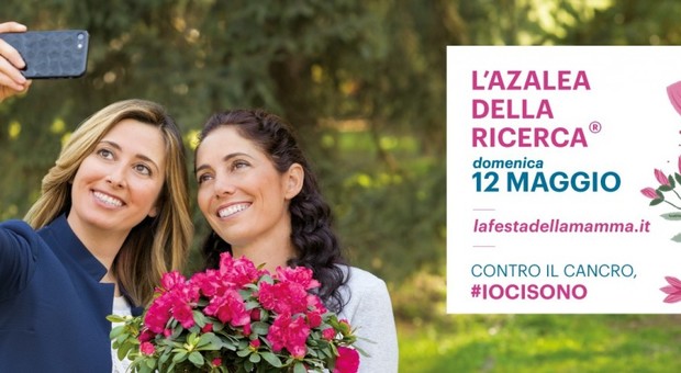 Domenica 12 maggio, Festa della mamma, torna l'Azalea della Ricerca: i fondi per i tumori femminili