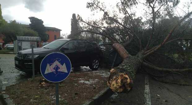 Tempesta meteo su Perugia: auto distrutte dagli alberi e volo dirottato