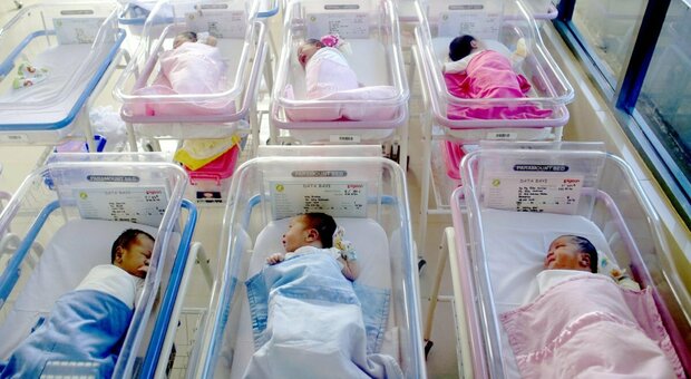 Terni, il dirigente del Materno Infantile, Borrello: «Neonati con le mamme, conquista da non perdere»