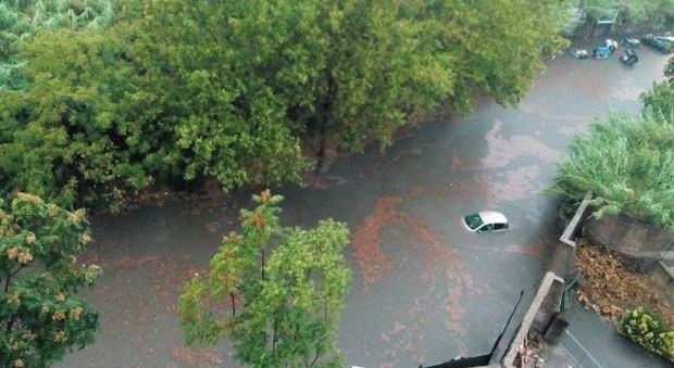 Roma, allarme alluvione e forte vento: strade allagate e rami caduti