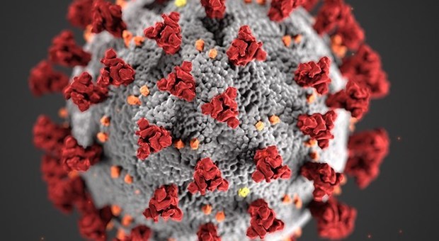 Coronavirus, da un farmaco contro il mieloma una via per la lotta a Covid-19