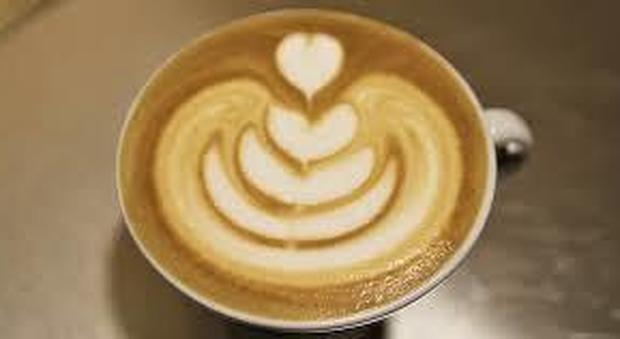 “Latte Art” a Palermo, la sfida del cappuccino tra cigni e tulipani