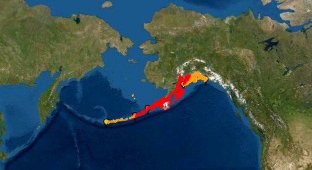 Terremoto Alaska di 7.8. Allerta tsunami in un raggio di 300 km, California esclusa