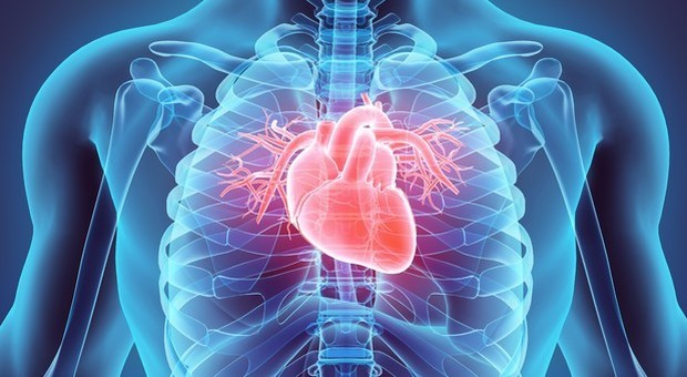 L'infarto è scritto nel sangue: trovato il marcatore che svela le persone a rischio