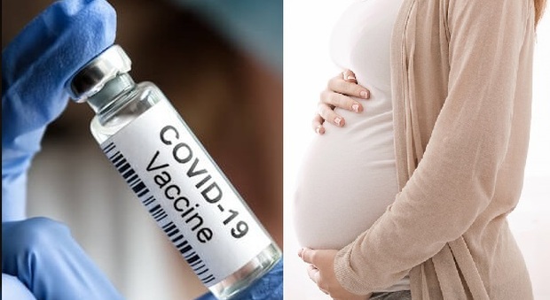 Vaccino, nessuna influenza sulla fertilità di uomini e donne. Sicuro anche in gravidanza