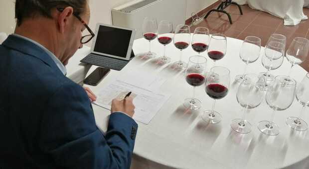 Ai nastri di partenza L’Umbria del Vino, per scoprire "alla cieca" quali sono le etichette più significative