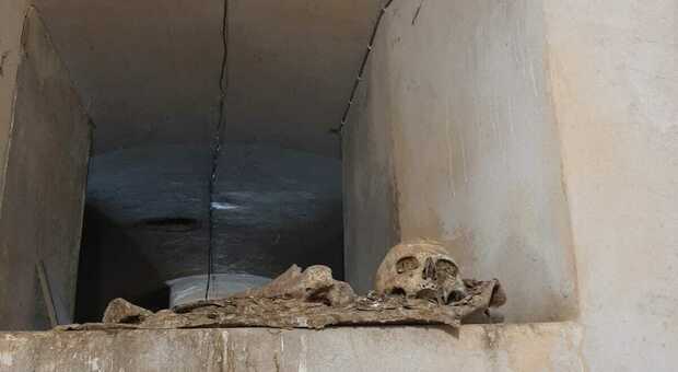 Frosinone, ossa e teschi in vista: a Sant'Elia cimitero nel degrado