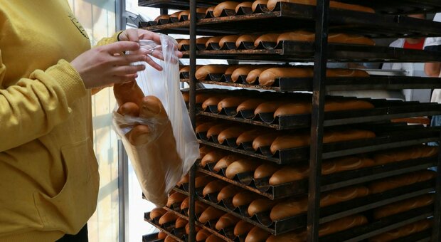 Aumento prezzi, beffa sulla farina: costa meno ma aumentano pane e pasta
