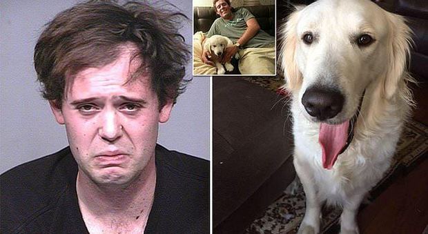 Uccide il cane con cento coltellate e lo getta nella spazzatura, choc in Arizona