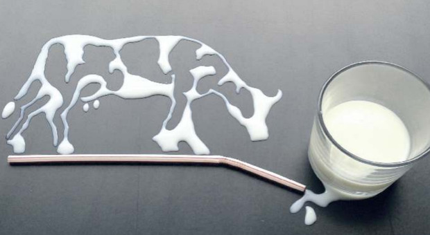 L'idea anti-spreco: se il latte è scaduto lo decideremo noi