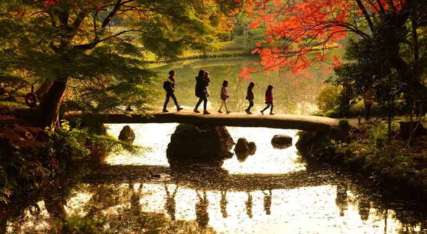 Foliage a Tokyo - Rikugien Garden (foto di TCVB - Elisa Eterno)