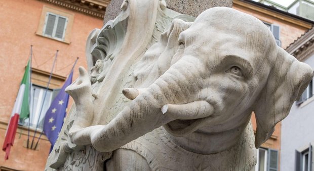 L'Elefantino del Bernini mutilato: nuovo sfregio a Roma