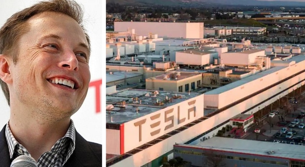 Tesla, Musk fa riaprire lo stabilimento nonostante la pandemia: 450 lavoratori positivi al Covid