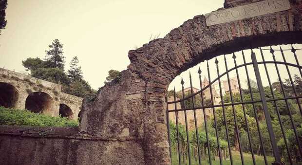 Villa d'Este "bio": dal sito Unesco pronto il pizzutello del Rinascimento. E a Villa Adriana arriva il miele dell'imperatore