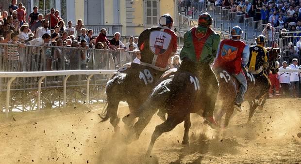 Firenze, morti due cavalli durante le prove del Palio di Fucecchio. Associazioni furiose: «La notizia è stata nascosta»