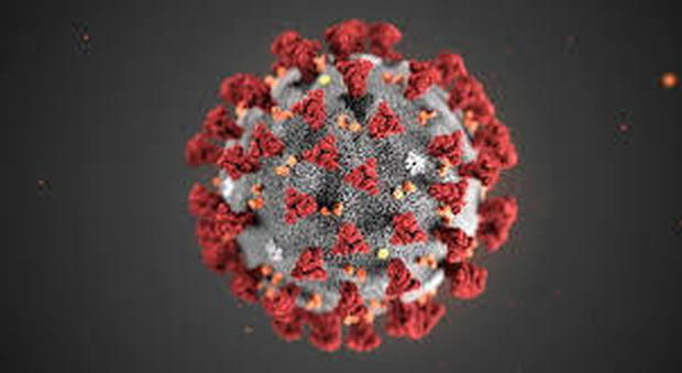 Coronavirus, i due scenari su Nature: «Colpirà dalle 39mila alle 190mila persone»