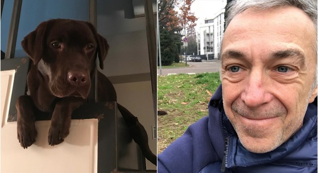 Bruna, la cagnolina di Linus morta a soli 10 mesi (Instagram)