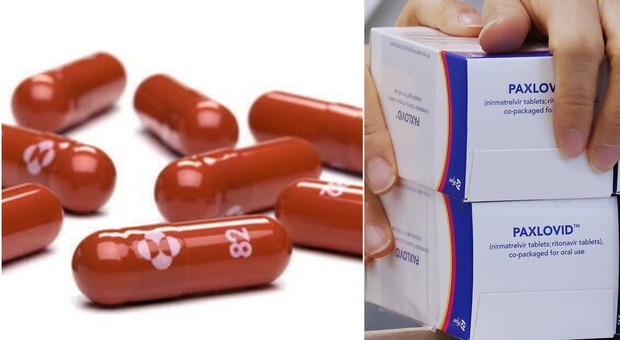 Paxlovid, sbarca in Italia il farmaco anti-Covid: chi lo prescrive e come funziona (10 domande e risposte)
