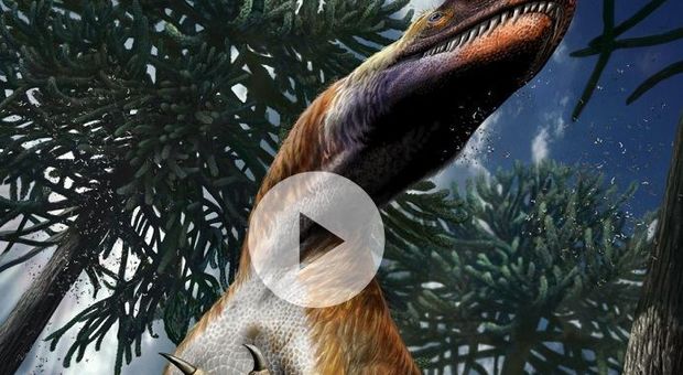 Jurassic Park italiano: viveva nell'attuale Lombardia il più grande dei dinosauri carnivori