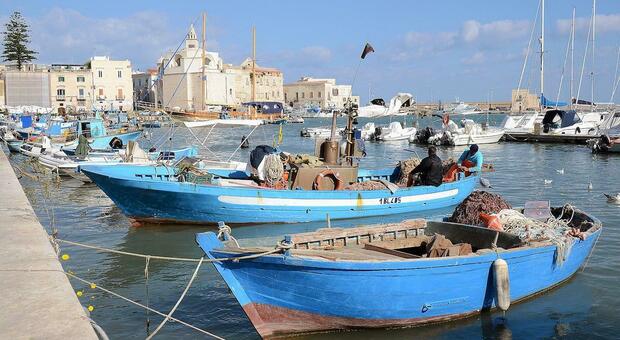 Trani, Bitonto, Molfetta e Bisceglie, da vedere e da mangiare: un tour lungo la costa nord di Bari