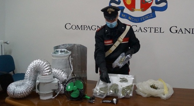Cocaina nella buca postale, catturata la banda dei Castelli: 5 arresti