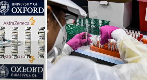 Vaccino Covid, Oxford: «Il nostro efficace al 70% ma più economico e facile da conservare»