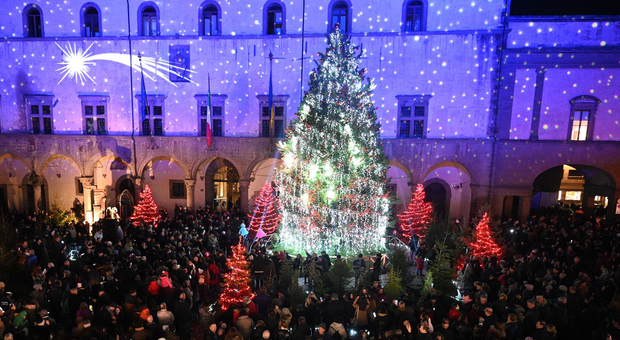 Natale a Viterbo, gli alberi quest'anno saranno due. Pista di pattinaggio in piazza del Comune