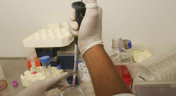 Vaccini, studio del San Raffaele: «Gli anticorpi restano nel sangue almeno per otto mesi»