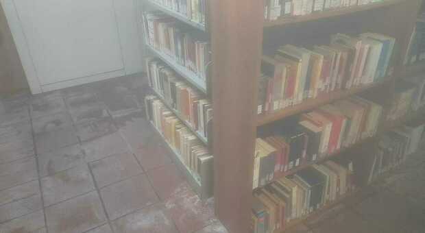 Civita Castellana, biblioteca comunale senza riscaldamento e wi-fi. Scatta la protesta