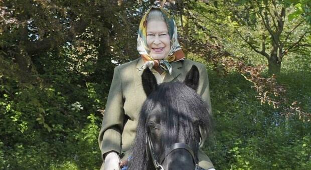Re Carlo III vende i cavalli della Regina Elisabetta