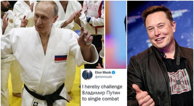 Putin, Elon Musk lo sfida sui social: «Combattimento singolo, la posta in gioco è l'Ucraina»