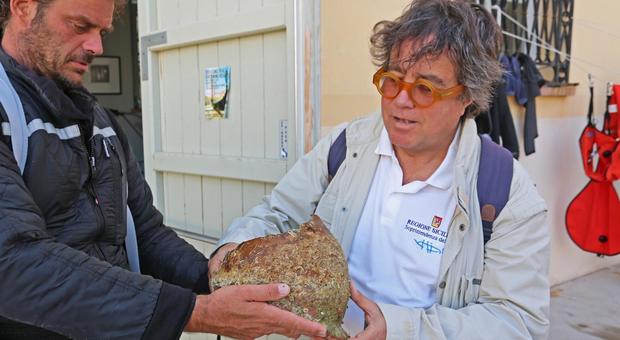 Sebastiano Tusa l'archeologo assessore che amava la ricerca in mare