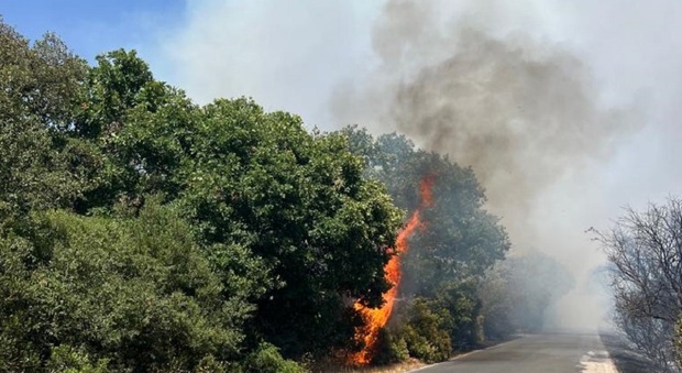 Nuovo incendio al Parco Nazionale del Circeo, allarme a Baia d'Argento