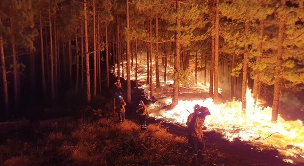 Incendio a Gran Canaria, gli evacuati salgono a 8.000: bruciati 3.400 ettari di vegetazione