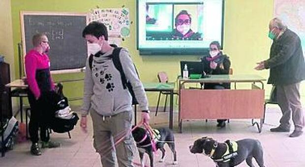 Cani in classe contro il bullismo, il progetto di Pet therapy in una scuola di Piglio