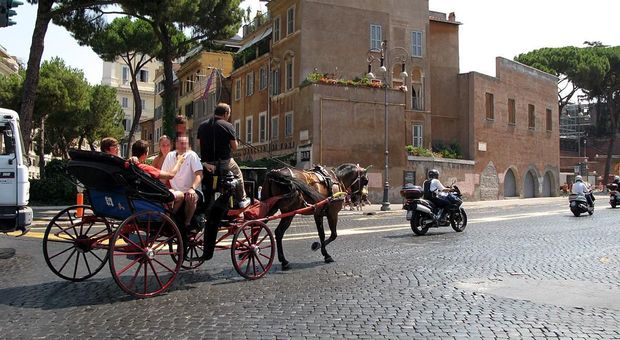 Roma, botticelle via dalle strade solo nei parchi: ecco il nuovo regolamento