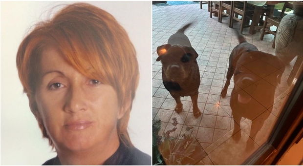 Modena, anziana muore sbranata dai suoi due cani: è deceduta durante il trasporto in ospedale